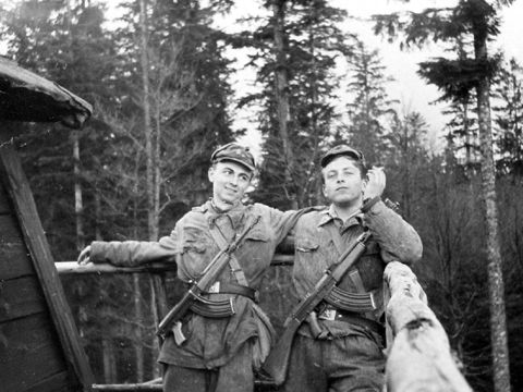 Foto 198
